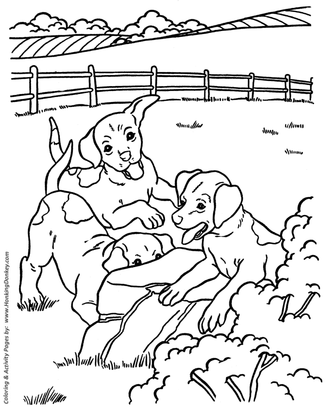 Farm hound dogs - Dog Coloring page