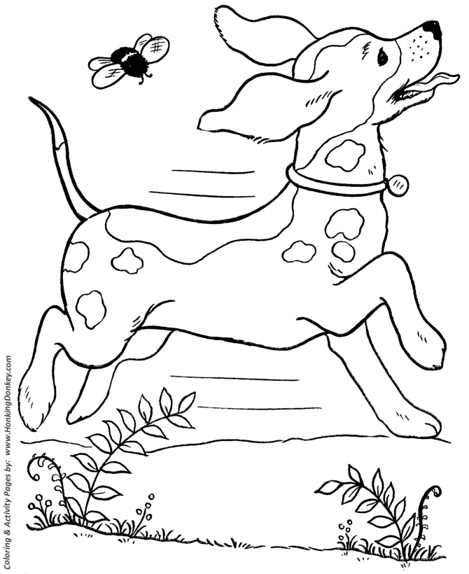 Spotted farm dog - Dog Coloring page