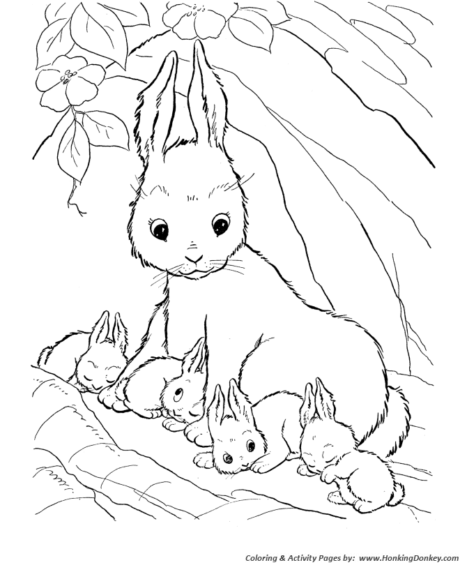 Farm animal coloring page | Mommy rabbit and her baby rabbits