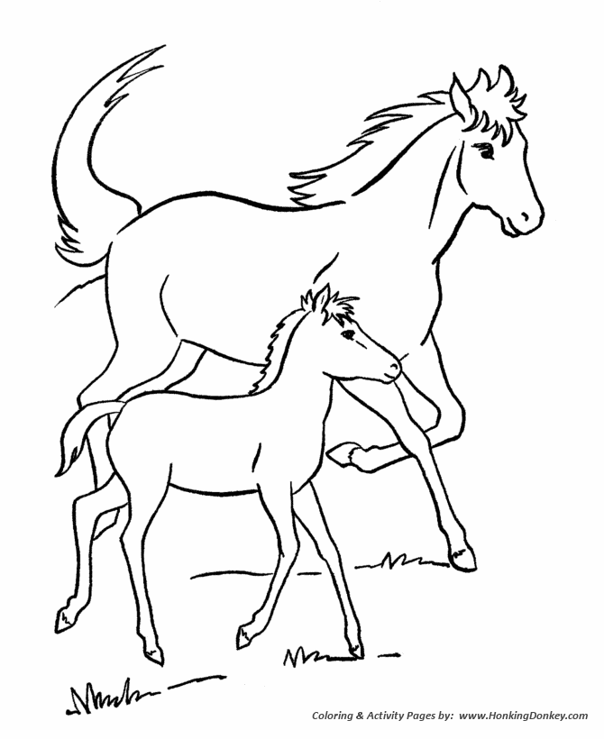 Horse coloring page | Mare and her colt