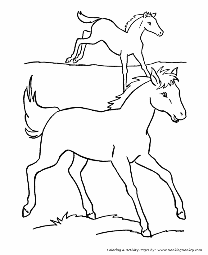 Horse coloring page | Horses run in the pasture