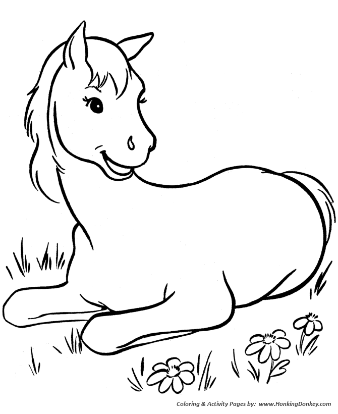 Horse coloring page | young colt in the pasture