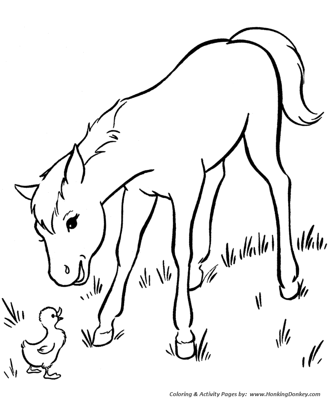 Horse coloring page | Friendly young horse
