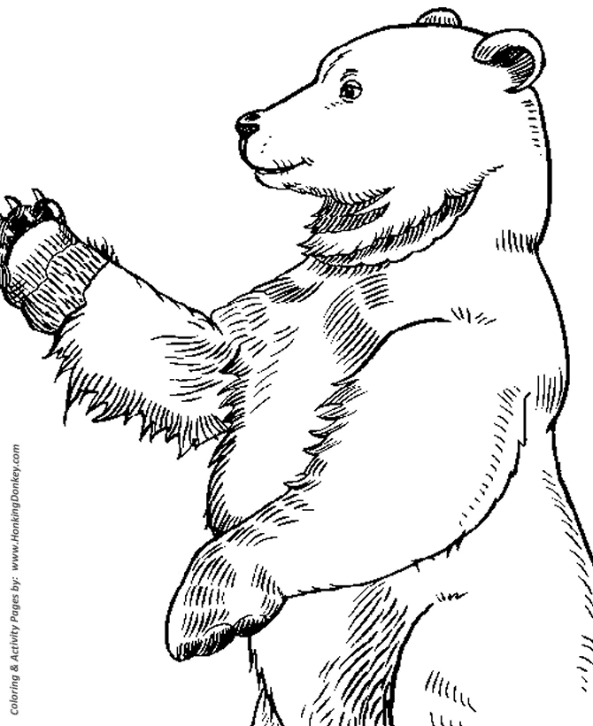 Wild animal coloring page | Large Standing Bear