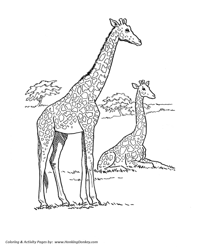 Wild animal coloring page | African Giraffe Coloring page