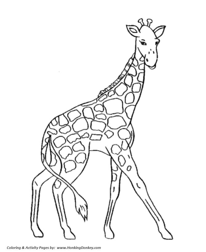 Wild animal coloring page | Giraffe walking graceful Coloring page