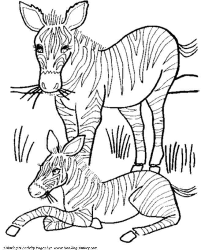 Mother and baby zebra coloring page | Zebra Coloring page
