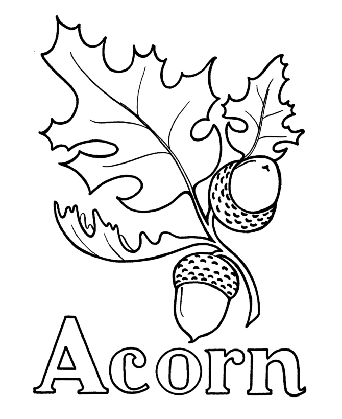 ABC Pre-K Coloring Activity Sheet | A is for Acorn 