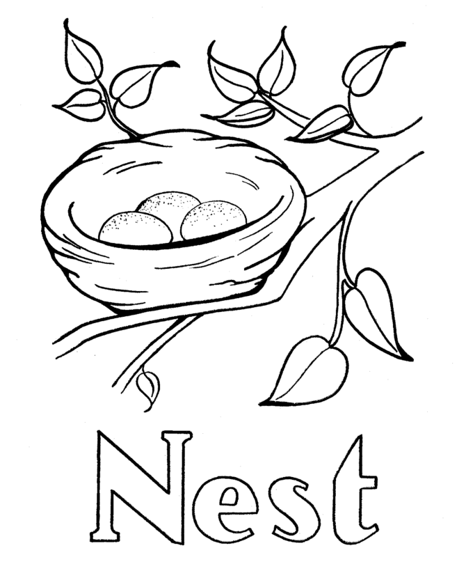 baby birds in a nest coloring pages - photo #43