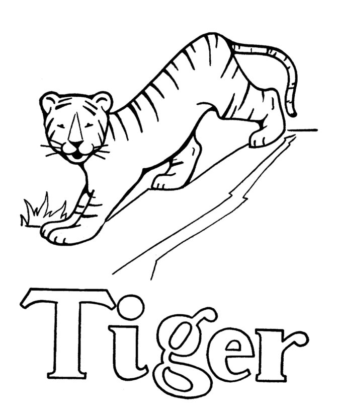 ABC Pre-K Coloring Activity Sheet | T is for Tiger
