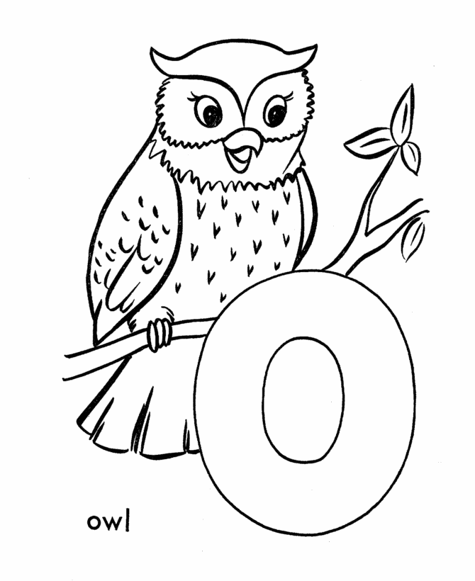 ABC Primary Coloring Activity Sheet | Letter O is for Owl