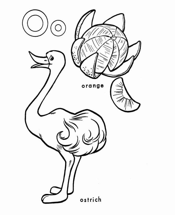 ABC Primary Coloring Activity Sheet | Letter O is for Ostrich / Orange