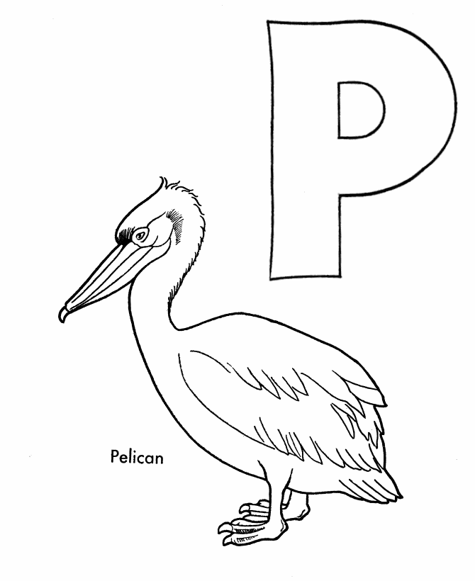 ABC Primary Coloring Activity Sheet | Letter P is for Pelican