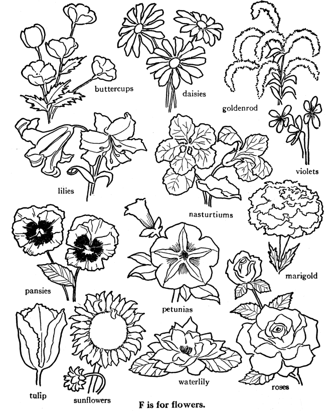 ABC Alphabet Words Coloring Activity Sheet | Letter F - Flowers