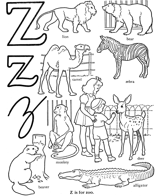 Alphabet Words Coloring Activity Sheet | Letter Z - Zoo