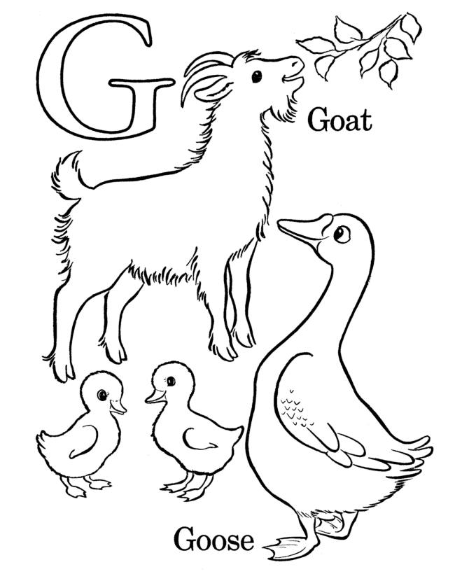 alphabet letters coloring pages g