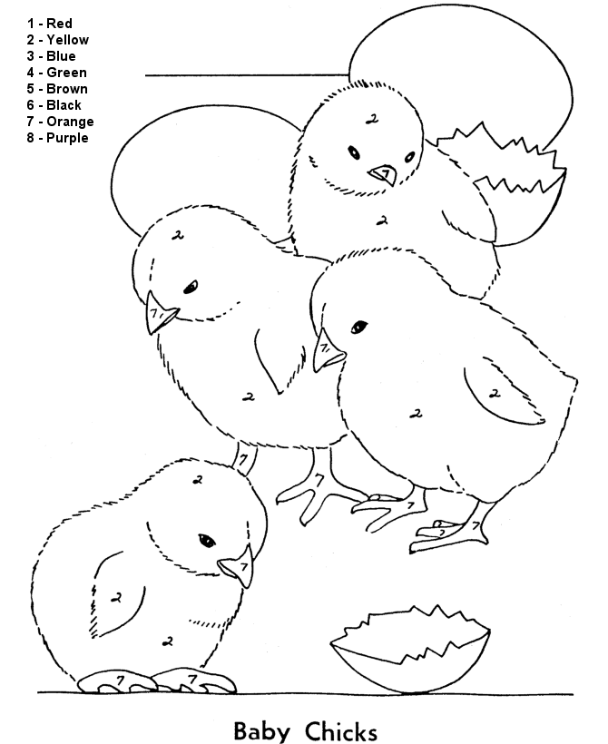 Color by Numbers Page | Farm Baby Chicks 