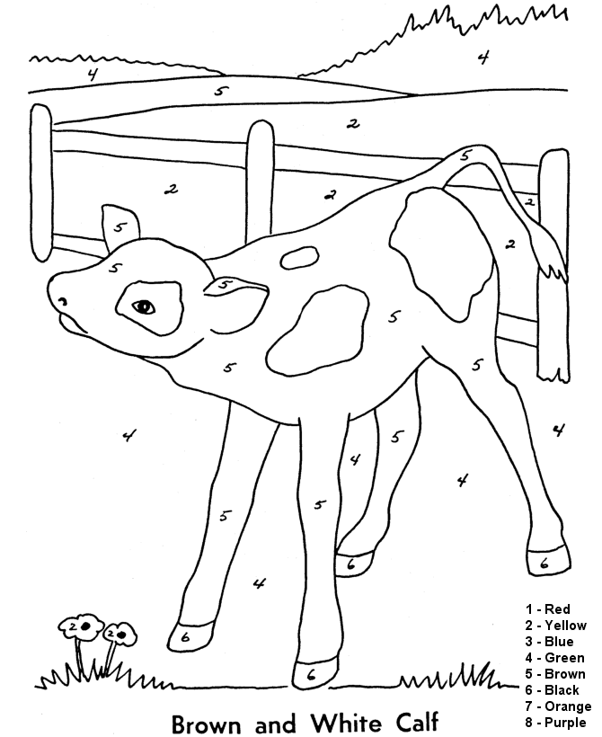 Color by Numbers Page | Farm Baby Calf