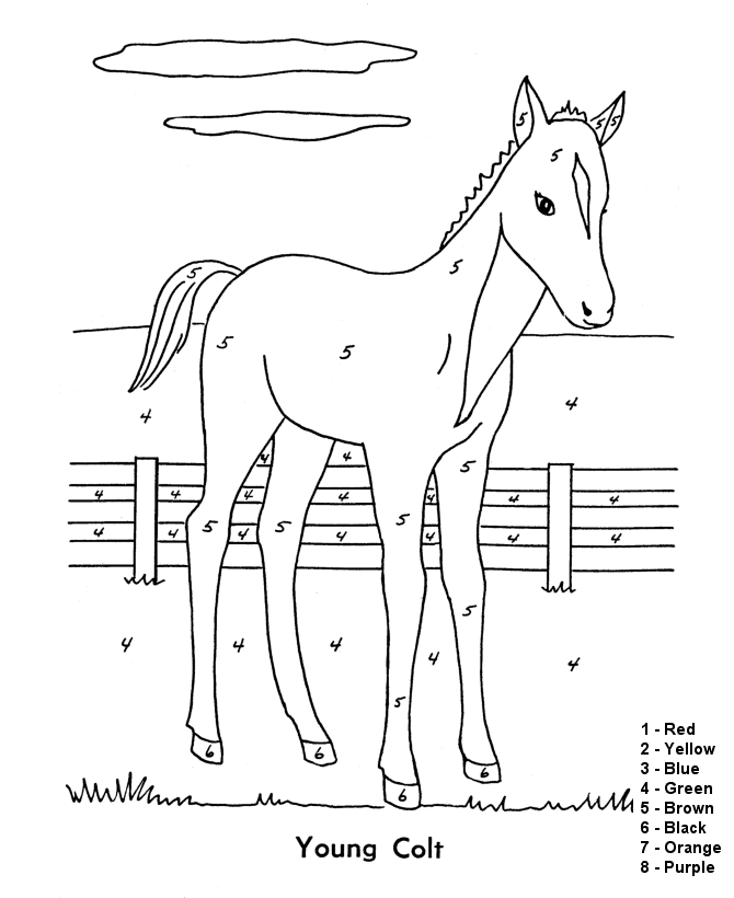 Color By Number Coloring Page Follow The Color Numbers To Color In The Colt In Barnyard Coloring Page Activity Sheet Honkingdonkey