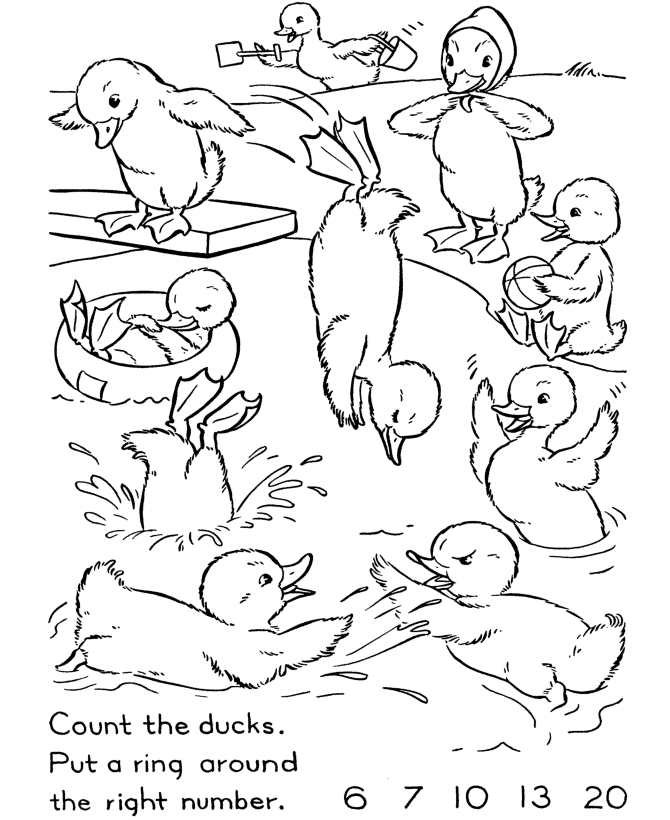 Counting Activity Sheet | Counting Ducks