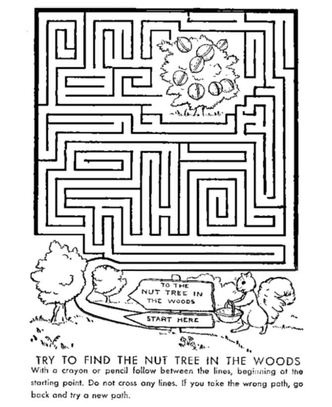 Maze Activity Sheet | Channel Maze - Nuts in the Forest