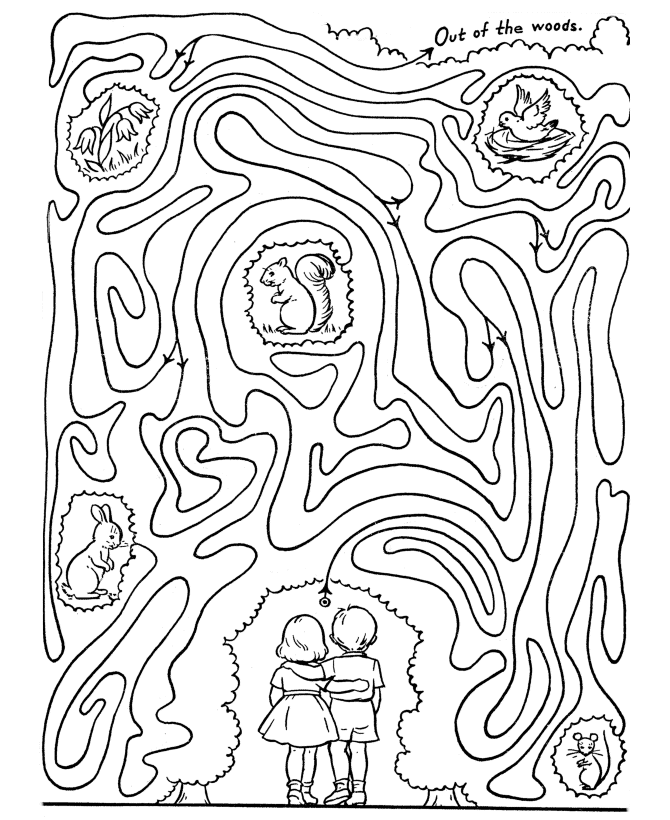 Maze Activity Sheet | Lost in the Forest Line Maze