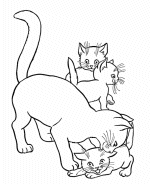 Cat Coloring Pages