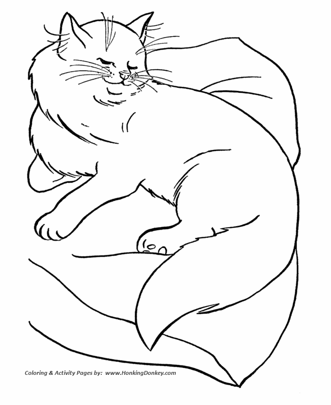 Cat Coloring page | Sassy Cat on a Pillow