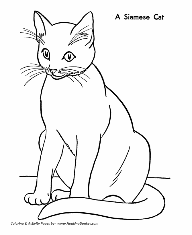 Cat Coloring Pages | Printable Siamese Cat Coloring Page | HonkingDonkey