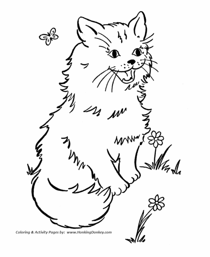 Cat Coloring page | Cat and butterfly