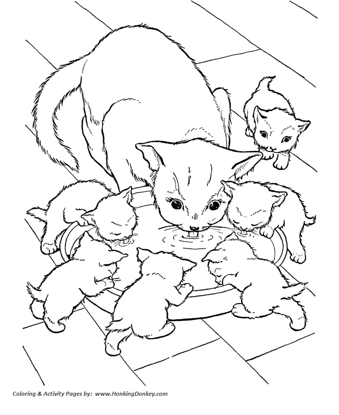 dog and cat coloring page