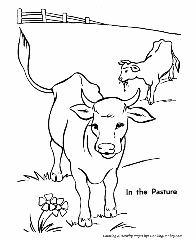 Cow Coloring page | Cows in the pasture