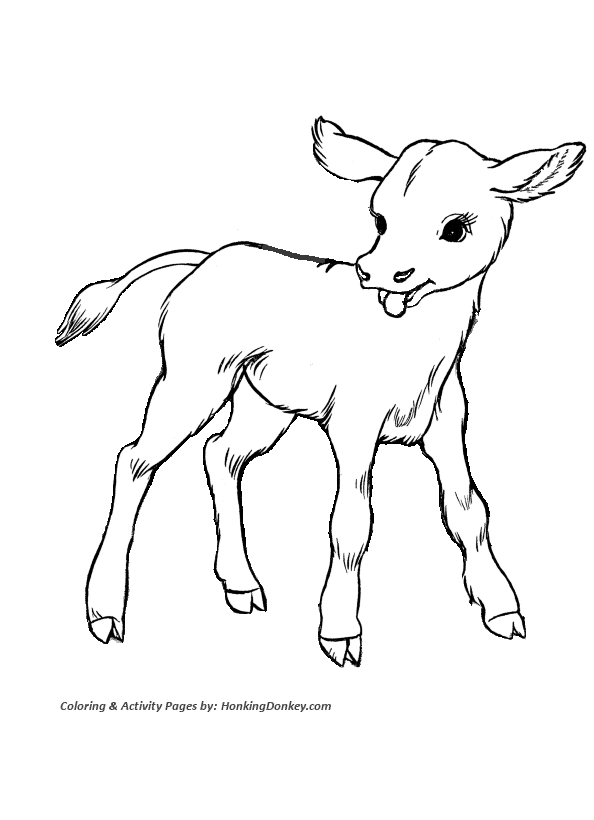 Cow Coloring page | Cute baby calf