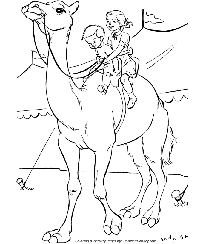 Animal Coloring Pages | Printable performing Circus camel coloring 