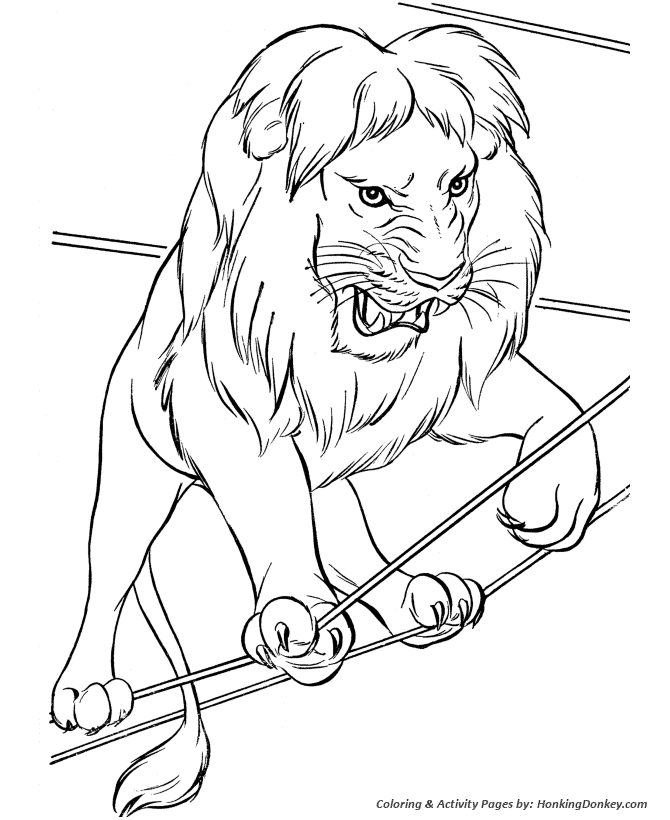 Circus Animal Coloring Pages | Printable performing Circus lion coloring  page and kids activity sheet | HonkingDonkey