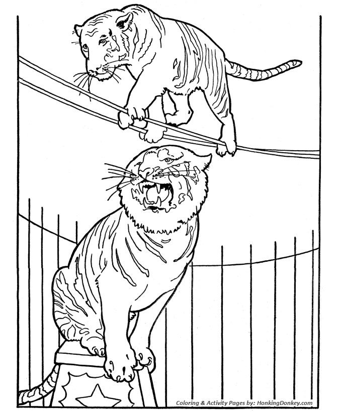 Circus Tiger Coloring page | Tiger on Tight rope