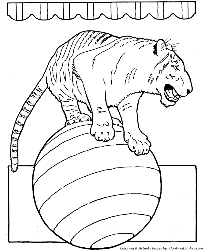 Circus Tiger Coloring page | Tiger on a ball