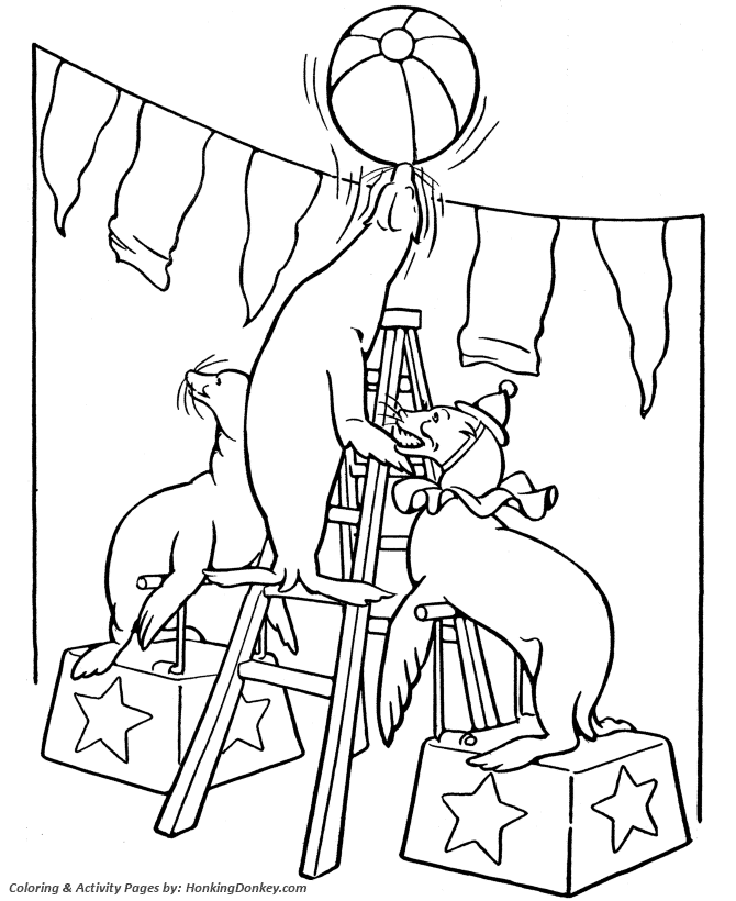 Circus Seals Coloring page | Trained Seals