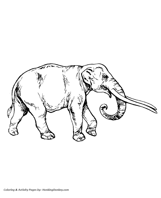 Mastodon Dinosaur Coloring page