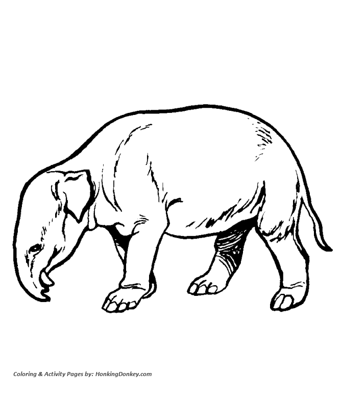 Moeritherium Dinosaur Coloring page