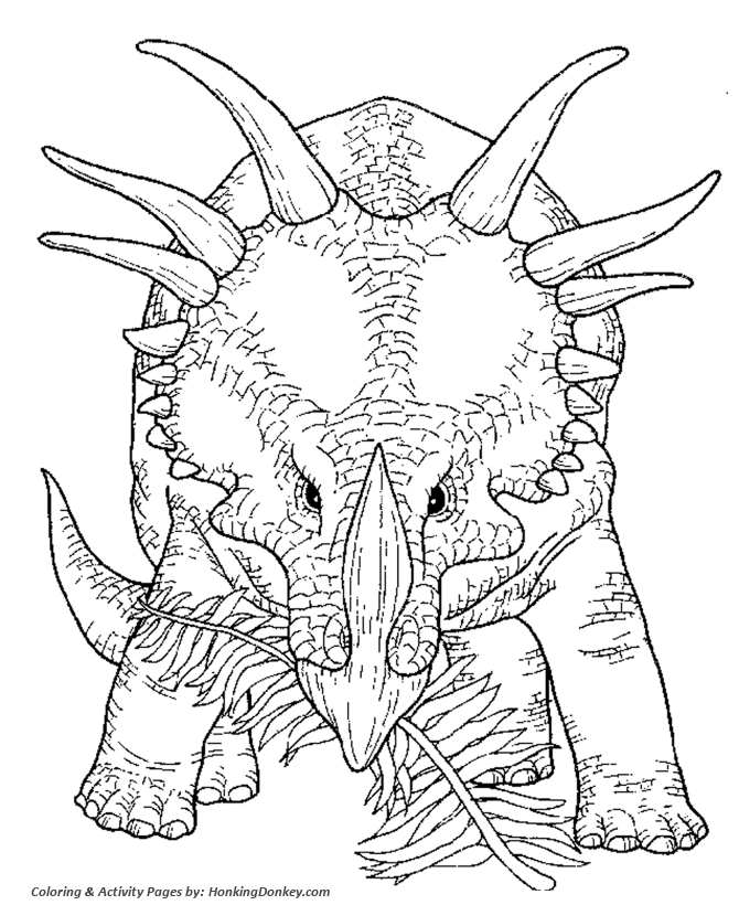 Dinosaur Coloring Pages | Triceratops Dinosaur coloring page activity