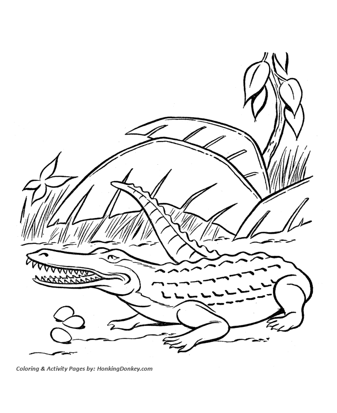 Crocodile - Dinosaur Coloring page