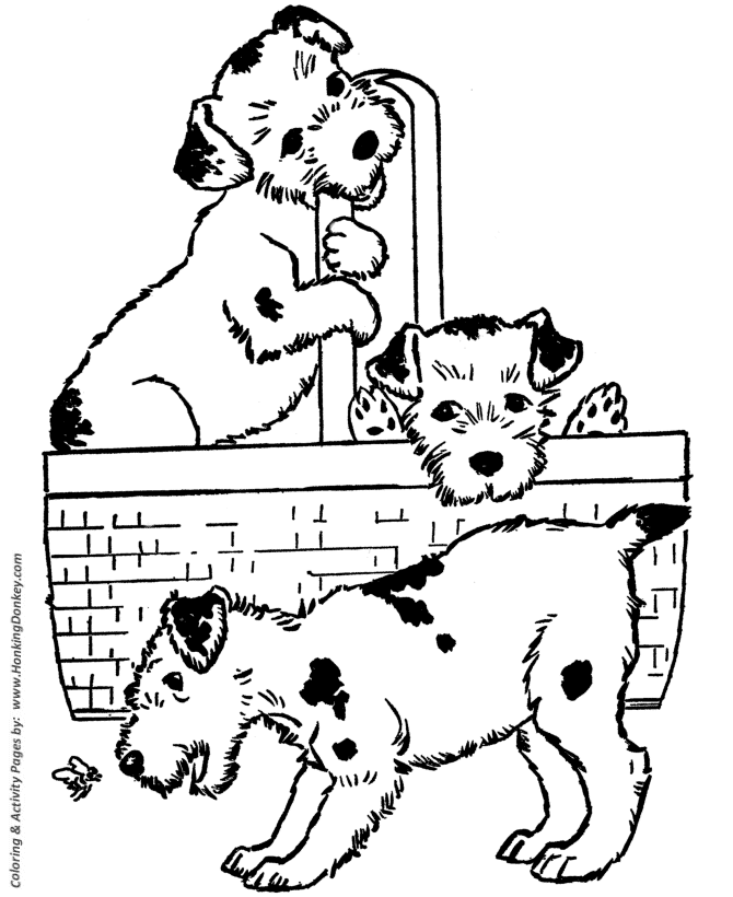 Puppies in a basket - Dog Coloring page