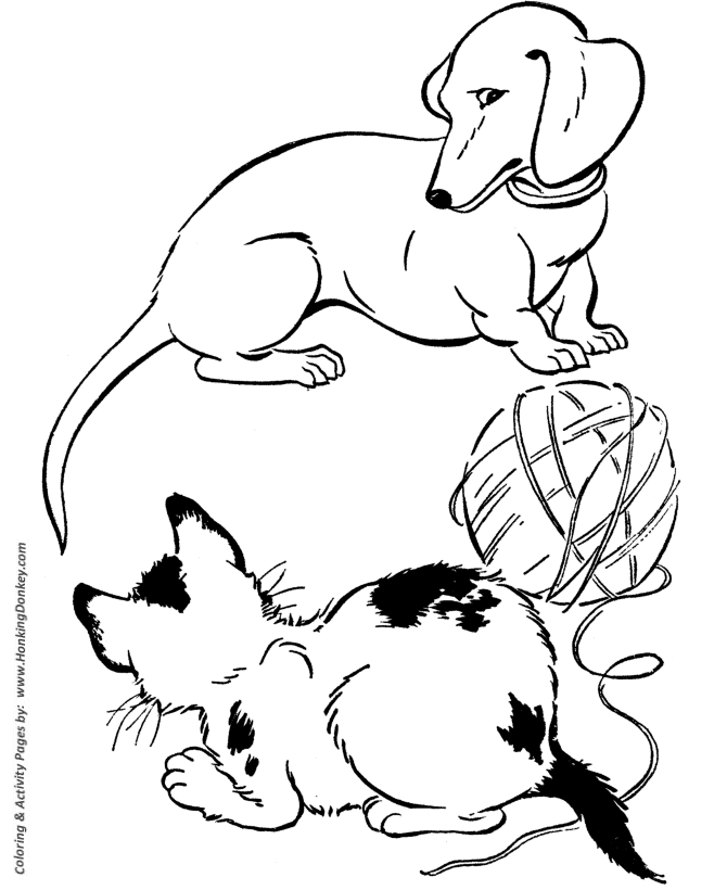 Dachshund - Dog Coloring page