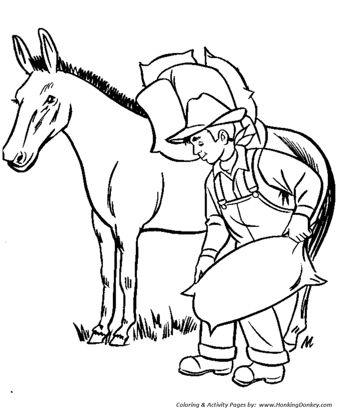 Farm animal coloring page | Farm Mule