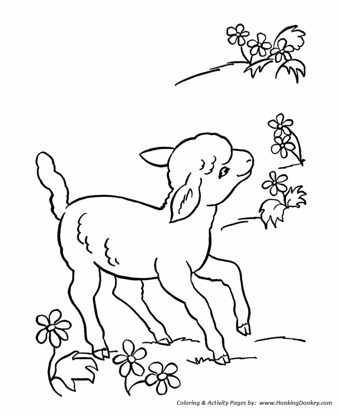 Farm animal coloring page | Little spring lamb