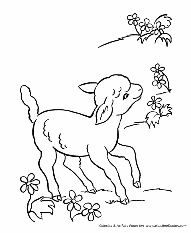 Farm animal coloring page | Little spring lamb  