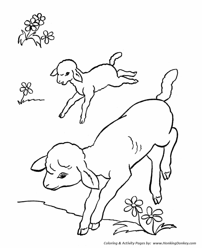 Farm animal coloring page | Running Lambs