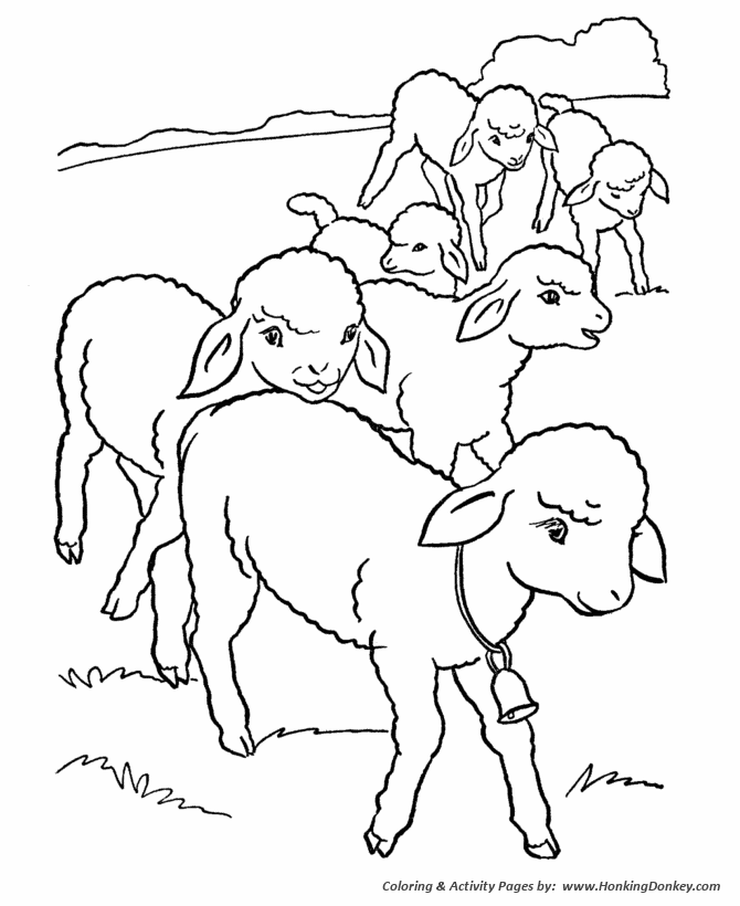 Farm animal coloring page | Flock of lambs