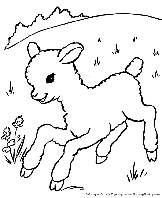 Farm animal coloring page | Little lamb running